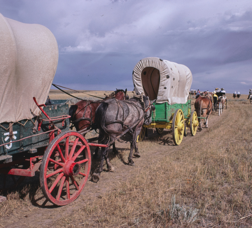 Covered wagon showcasing a classic design, evoking the charm and tradition of historical carriage rides