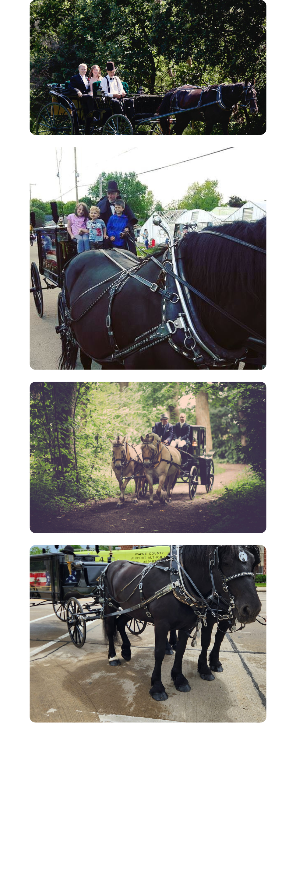 A collection of photos featuring elegant horse-drawn carriages on scenic rides at Cavanaugh Carriages in Neenah, WI.