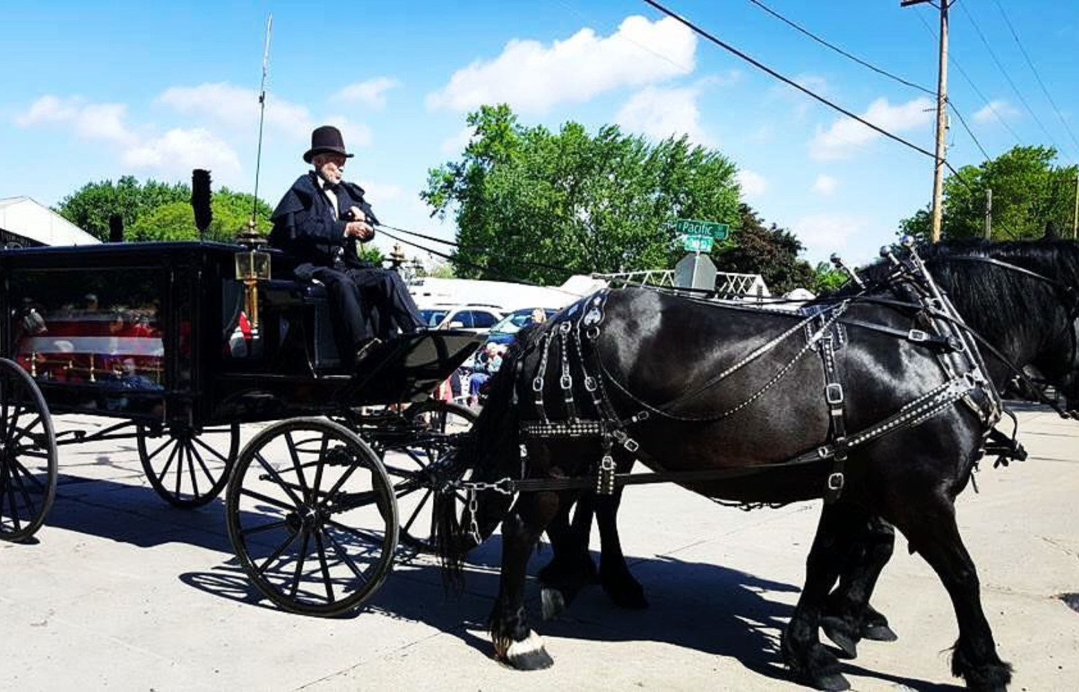 Rodger Cavanaugh guiding a dignified horse-drawn funeral hearse, offering a traditional and respectful service for a funeral procession.