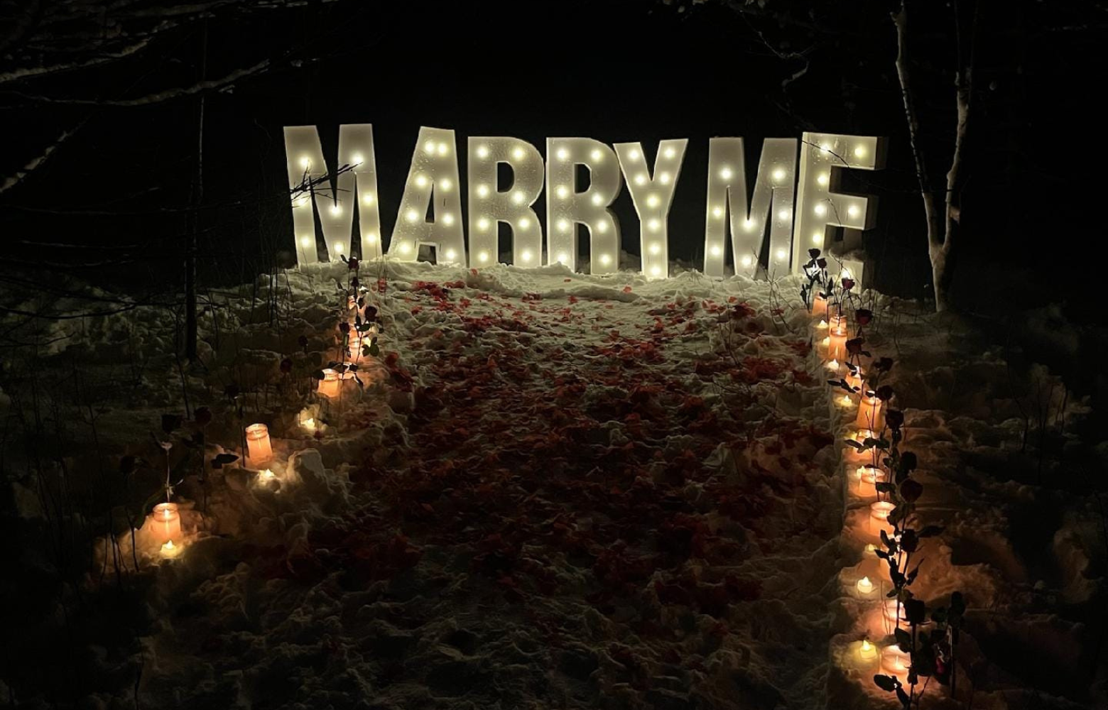 Glowing 'Marry Me' sign beautifully set up at night in the woods, creating a romantic atmosphere for a memorable proposal.