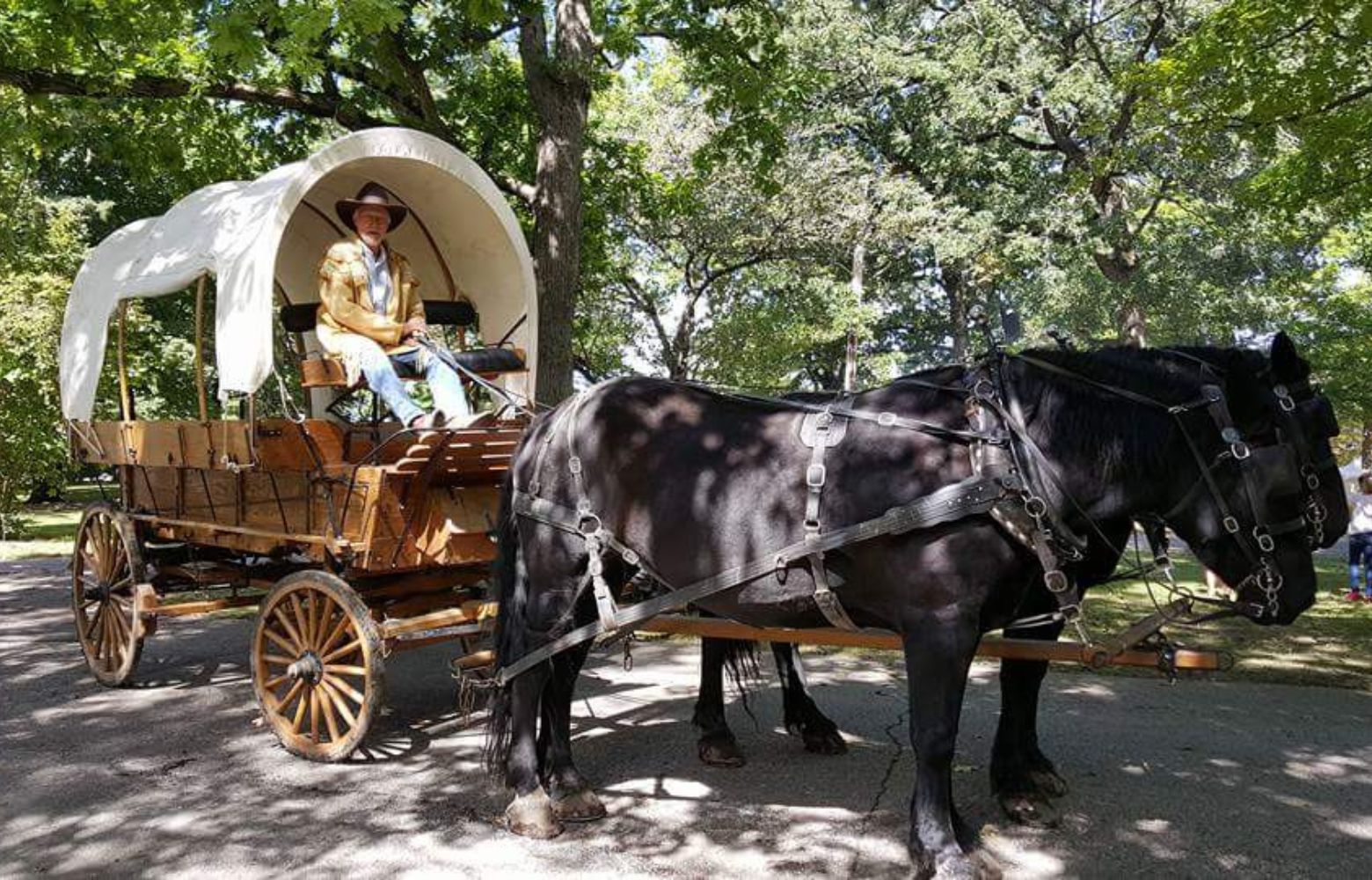 A classic horse-drawn carriage or wagon ride traveling through scenic surroundings, offering a timeless experience.