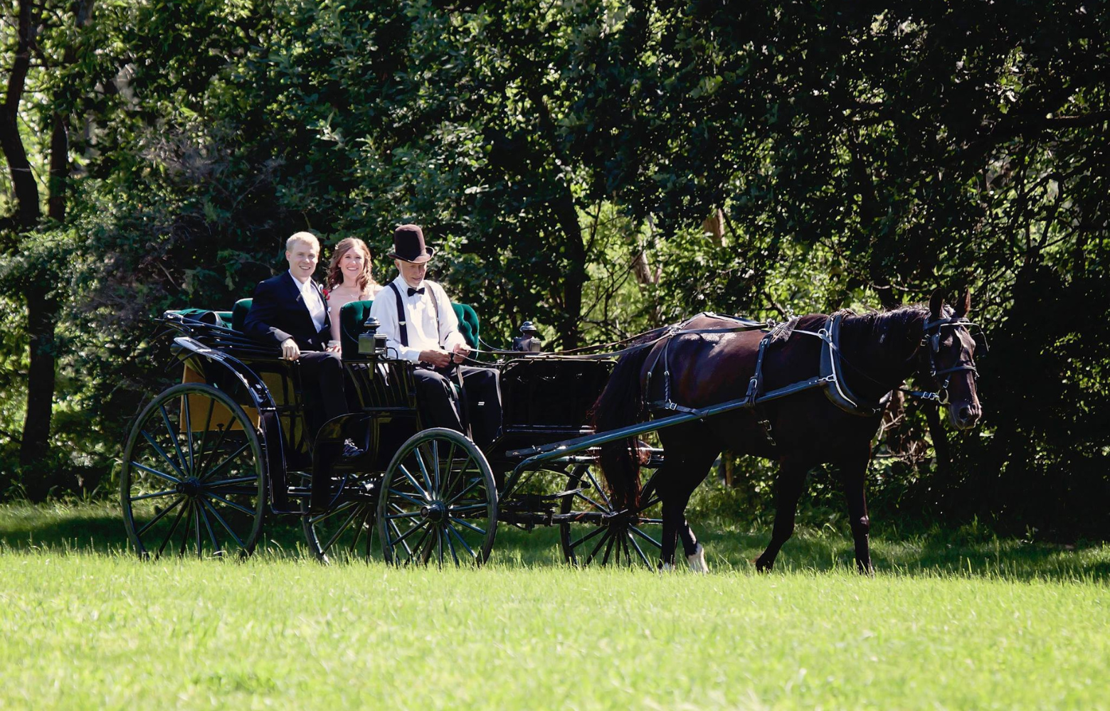 Newlywed couple enjoying a celebratory horse-drawn carriage ride with Rodger Cavanaugh, creating cherished memories of their special day.