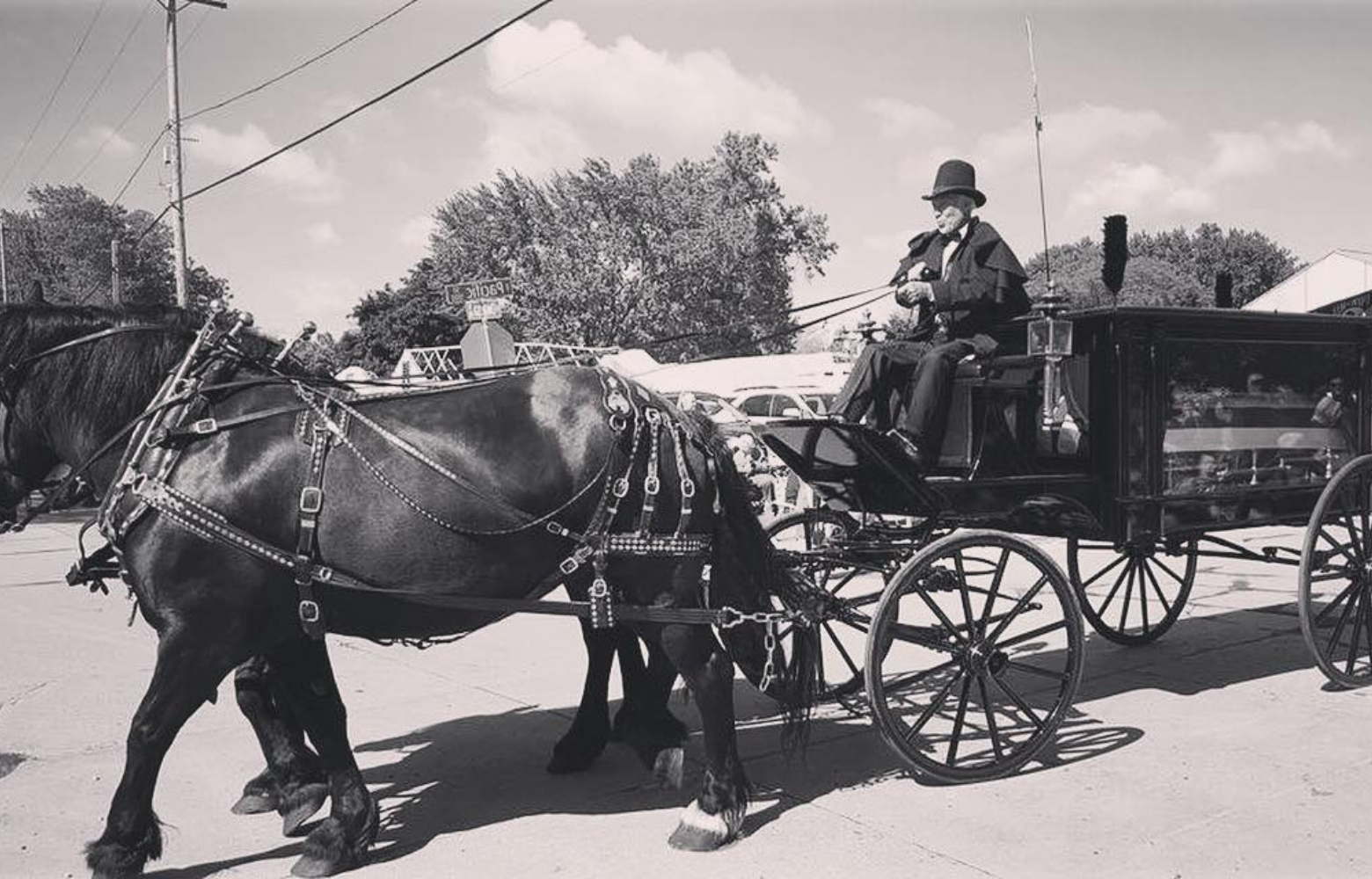 Black and white photo of Rodger Cavanaugh leading a horse-drawn hearse, capturing the timeless elegance and historical significance of the moment.