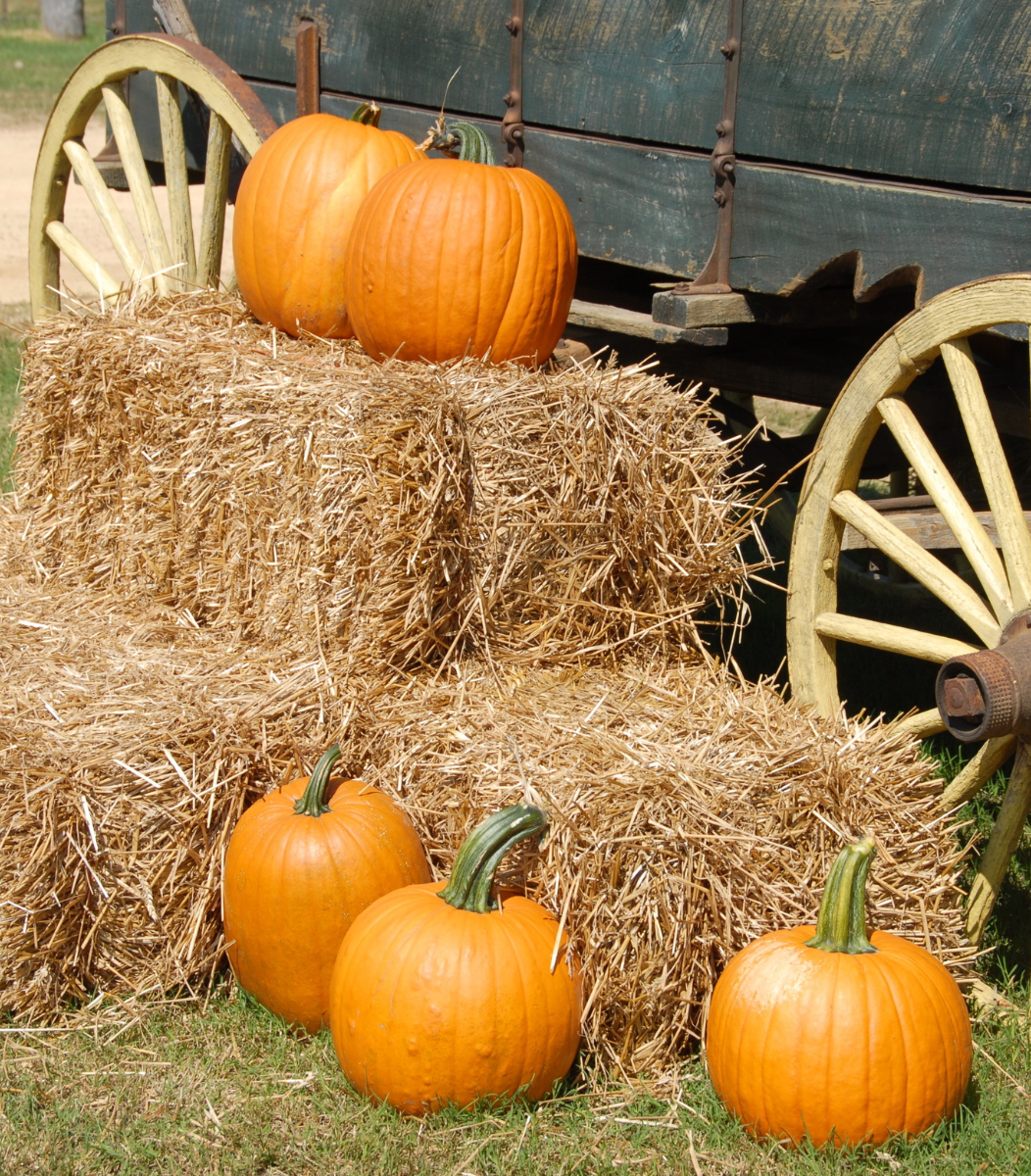Hay bales, pumpkins, and a wagon arranged in a rustic, autumn-themed display