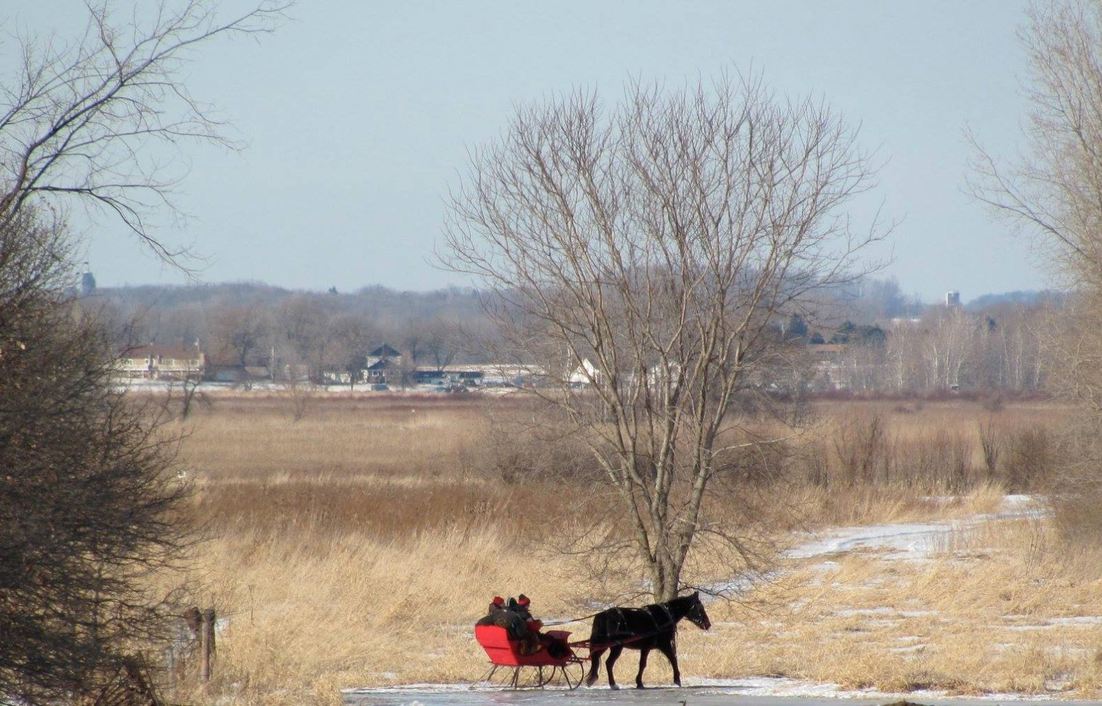 Rodger Cavanaugh guides a couple on a cozy sleigh ride through a snowy landscape, with just three people on the sleigh including the driver.